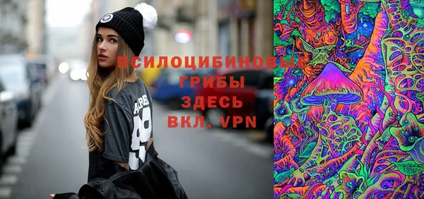 гашик Армянск
